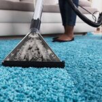 Transform Your Home Environment with Carpet Cleaning Services
