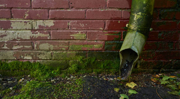 Why Proper Gutter Maintenance Protects Your Foundation